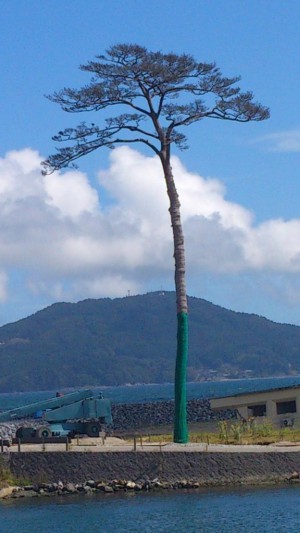 7922a5bb91a719c428a346ea16ff75a3-576x1024_5372eec3e85fb