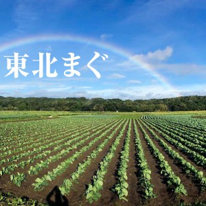 543ed25299b58