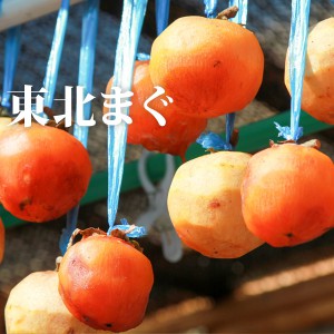 5462085f4fb41