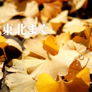 548901b44014c