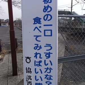 55154afd8c92b