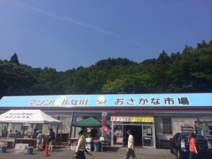 557beec2771c3