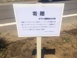 5584fcbac3424